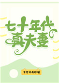 七十年代真夫妻小说结局