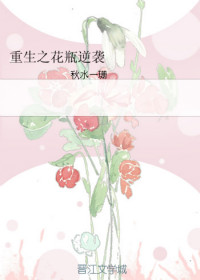 重生之花开美利坚